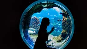 Enoshima Aquarium: Admission Ticket