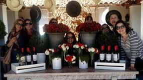Ruta del Vino Valparaíso & Casablanca con Almuerzo Maridaje Tanino