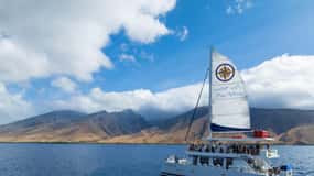 Maui: Snorkel Tour to Coral Gardens