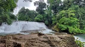 Au départ de Palenque : visite de Palenque et des chutes d'eau de Roberto Barrios