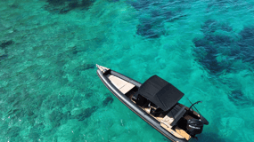 Naousa: Viagem de 1 dia a Rineia, Delos e Naxos em um barco com bebidas