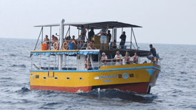 All Inclusive Mirissa Whale and Dolphin Watching Boat Ride