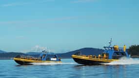 Strait of Georgia, British Columbia - Book Tickets & Tours