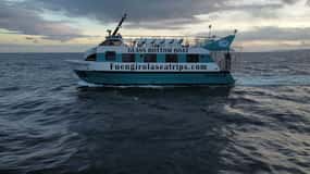 From Malaga and Costa del Sol: Mijas Excursion and Costa del Sol Cruise-Ship Cruise