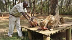 Nairobi Animal Orphanage, SafariWalk and Kenya Bomas Tour