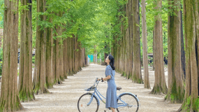 From Seoul: Nami Island, Korean Garden & Rail Bike Day Trip