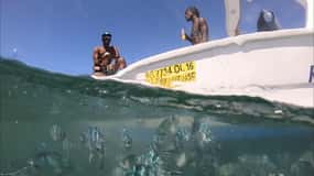 La Preneuse: Tour in motoscafo per l'avvistamento dei delfini e lo snorkeling