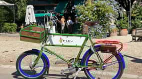 Tour in E-Bike tra Parchi e Ville: Scopri il Verde di Roma