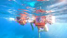 Cozumel: the starfish sanctuary sky