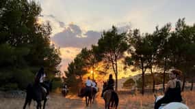 Matera: sunset horseback riding tour on Murgia