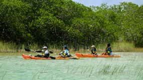 Tulum: Sian Ka'an Biosphere Reserve Kayak Tour