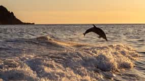 gulf of Ajaccio / Sanguinaires Islands , swim stop