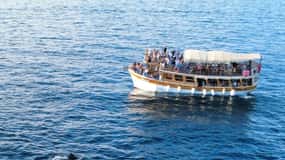 Novigrad: Sunset Dolphin Watching Boat Tour by Matek