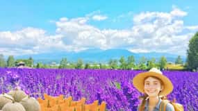 Hokkaido Furano Tomita Farm Tour With a Local guide