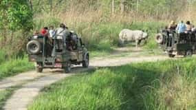 2 N 3 Days Chitwan tour package from Pokhara or Kathmandu