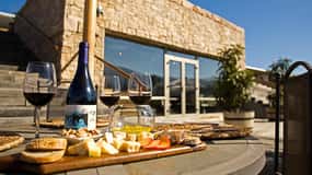 From Santiago: Colchagua Valley Wine Route Day Tour