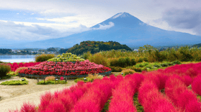 Tokyo: Mount Fuji Highlights Tour with Kawaguchi Lake Cruise