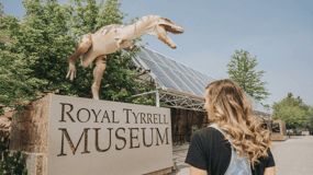 Drumheller, Royal Tyrrell Museum, Horseshoe Canyon, Hoodoos