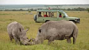 Da Nairobi: Pernottamento Ol Pejeta Conservancy Safari