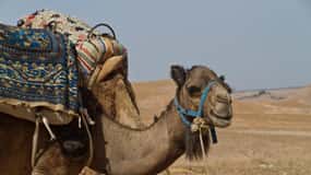 Three valleys, Atlas Mountain, waterfalls & Agafay Desert