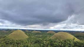 BOHOL: Chocoladeheuvels, Tarsiers en Loboc Rivier Dagtocht