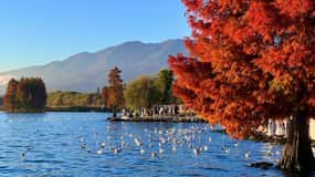 Kunming: 8-Day Yunnan Impression Tour