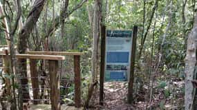 Guided Primeval Nature Walk Tour