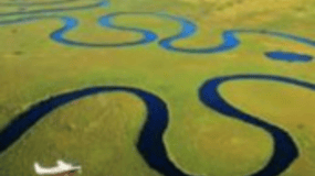 Mokoro Day Trip at the Okavango Delta