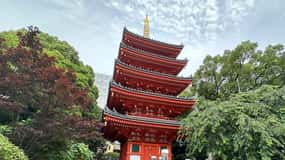 Fukuoka: Customized Private Tour