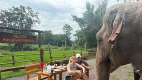 Chiang Mai 2-Day: Good Morning Elephant & Overnight Homestay