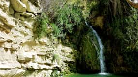 Privat jeepsafari inklusive Turtle Bay & Adonis vattenfall