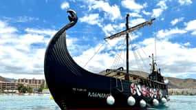 Los Cristianos: Whale-Watching-Bootsfahrt mit Badestopp und Getränken