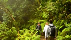 Tenerife: Guided tour guide in the Anaga Rural Park