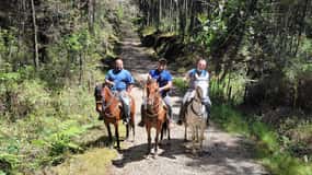 Medellín: Passeio a cavalo pela fazenda de café com spa de café