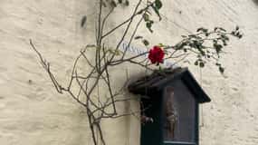 Free tour of the surprisingly interesting history of Bruges