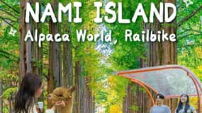 Seoul: Gangwon-do Day Trip with Alpaca World & Nami Island