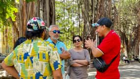 Port Louis Street Food Tour