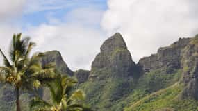 From Oahu: Kauai Highlights & Movie Sites