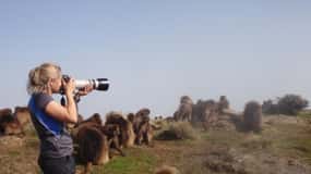 3 Days Trekking & Wildlife Spotting in the Simien Mountains