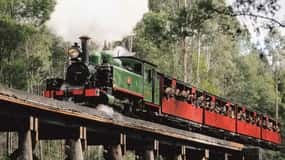 Melbourne: Puffing Billy and Moonlit Sanctuary Day Tour