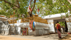 Sri Lanka Privat 10-dagars rundresa Bil, guide, hotell, mat