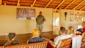 Victoria Falls: Elecrew Through The Eyes Of An Elephant