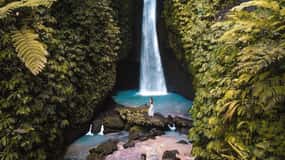 Bali: Discover Jungle Waterfalls and Rice Terraces