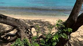 Tayrona Park & Concha Bay