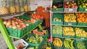 Tour pelo mercado de frutas com um gastrônomo