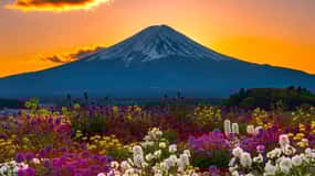 From Tokyo: Customizable Mt Fuji & Hakone Private Day Tour