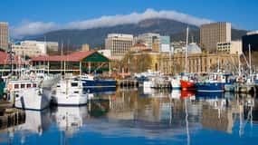 Expérience de découverte de Hobart