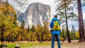 Från San Francisco: Dagsutflykt till Yosemite National Park