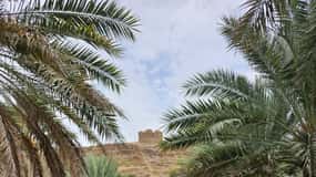 From Muscat: Nizwa, Birkat Al Mouz & Oman Across Ages Museum