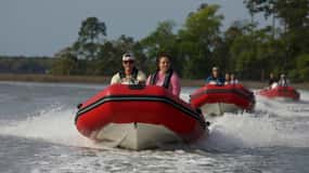 Hilton Head: Geführte Disappearing Island Tour mit dem Miniboot